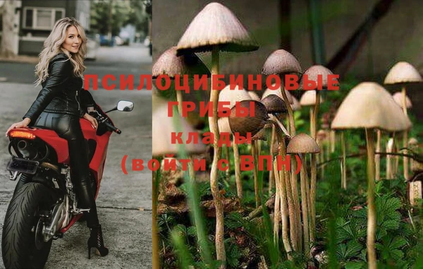 бутират Богородск